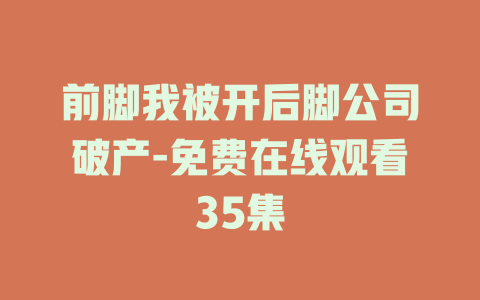 前脚我被开后脚公司破产-免费在线观看35集