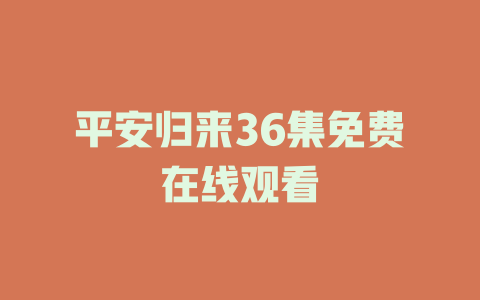 平安归来36集免费在线观看