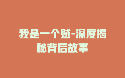我是一个贼-深度揭秘背后故事