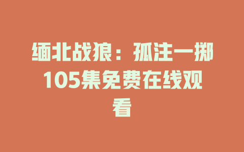 缅北战狼：孤注一掷105集免费在线观看
