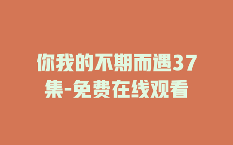 你我的不期而遇37集-免费在线观看