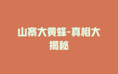 山寨大黄蜂-真相大揭秘