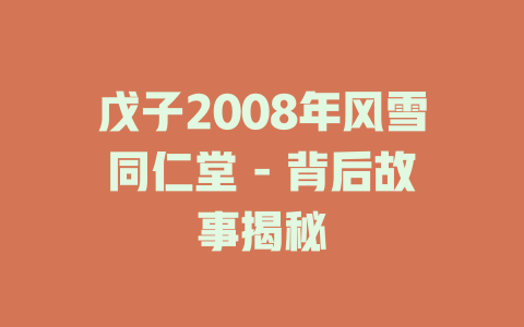 戊子2008年风雪同仁堂 - 背后故事揭秘