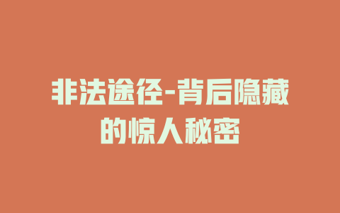 非法途径-背后隐藏的惊人秘密