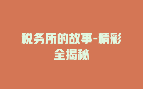 税务所的故事-精彩全揭秘