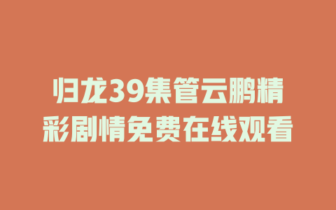 归龙39集管云鹏精彩剧情免费在线观看