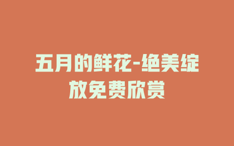 五月的鲜花-绝美绽放免费欣赏