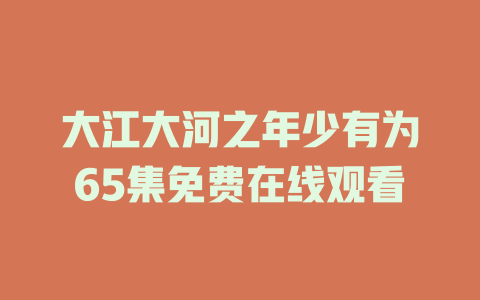大江大河之年少有为65集免费在线观看