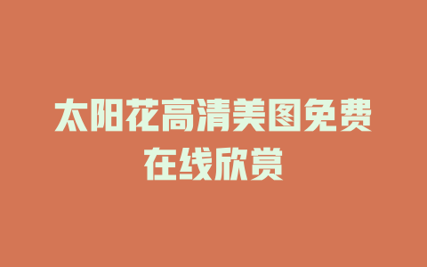 太阳花高清美图免费在线欣赏