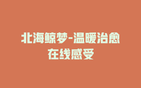 北海鲸梦-温暖治愈在线感受