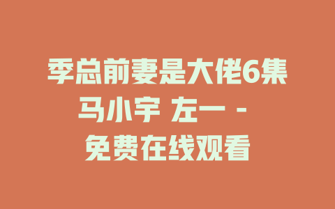 季总前妻是大佬6集马小宇 左一 - 免费在线观看