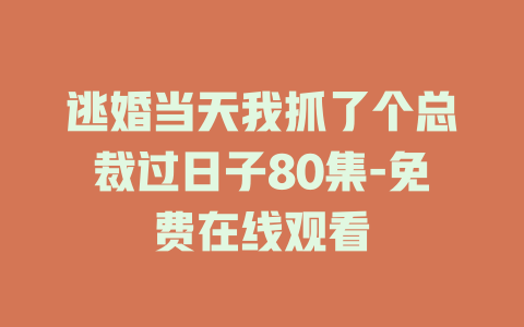逃婚当天我抓了个总裁过日子80集-免费在线观看