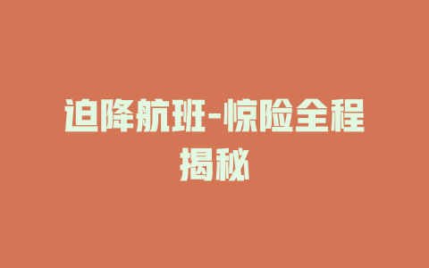 迫降航班-惊险全程揭秘