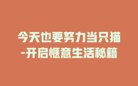 今天也要努力当只猫-开启惬意生活秘籍