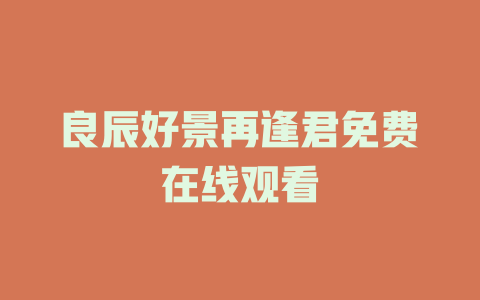 良辰好景再逢君免费在线观看