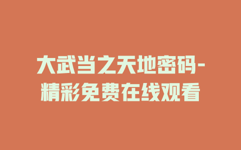 大武当之天地密码-精彩免费在线观看