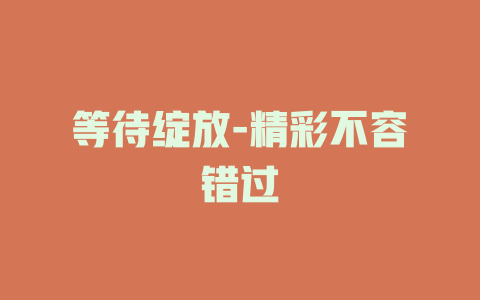 等待绽放-精彩不容错过