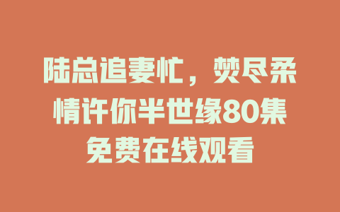 陆总追妻忙，焚尽柔情许你半世缘80集免费在线观看