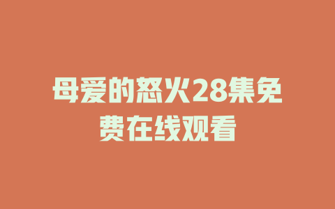 母爱的怒火28集免费在线观看