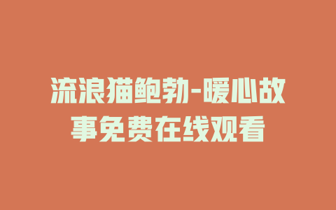 流浪猫鲍勃-暖心故事免费在线观看