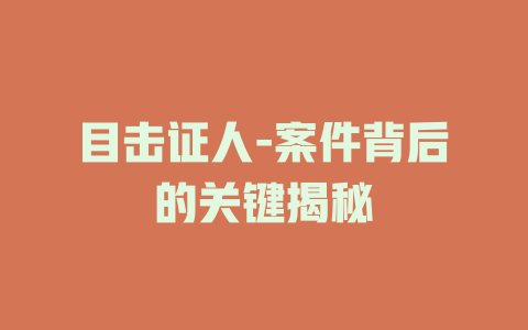 目击证人-案件背后的关键揭秘