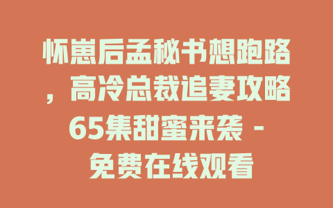 怀崽后孟秘书想跑路，高冷总裁追妻攻略65集甜蜜来袭 - 免费在线观看