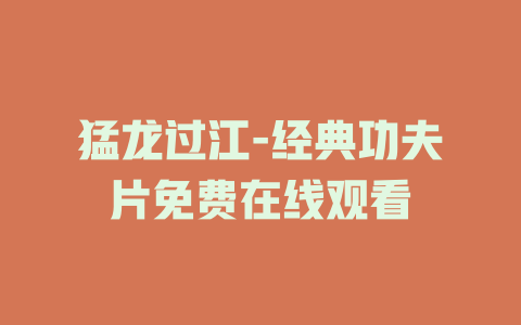 猛龙过江-经典功夫片免费在线观看