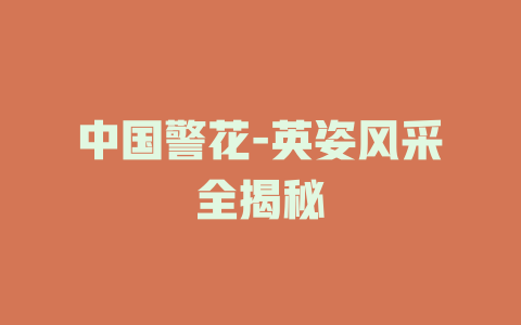 中国警花-英姿风采全揭秘