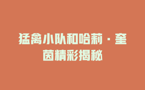 猛禽小队和哈莉·奎茵精彩揭秘
