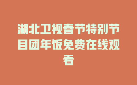 湖北卫视春节特别节目团年饭免费在线观看