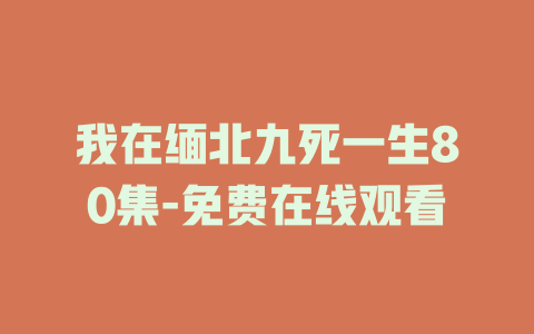 我在缅北九死一生80集-免费在线观看