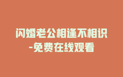 闪婚老公相逢不相识-免费在线观看