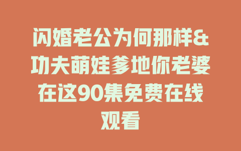 闪婚老公为何那样&功夫萌娃爹地你老婆在这90集免费在线观看