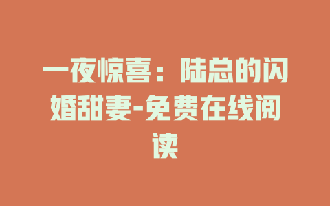 一夜惊喜：陆总的闪婚甜妻-免费在线阅读