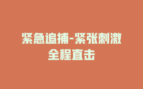紧急追捕-紧张刺激全程直击