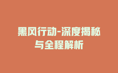 黑风行动-深度揭秘与全程解析