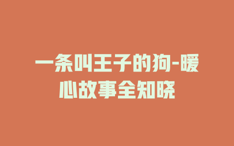 一条叫王子的狗-暖心故事全知晓