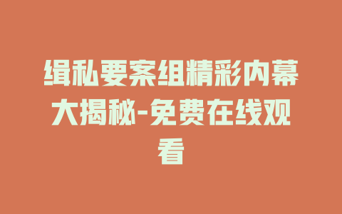 缉私要案组精彩内幕大揭秘-免费在线观看