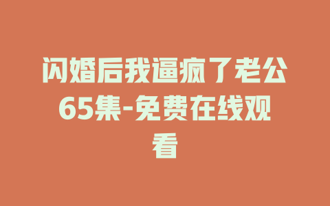 闪婚后我逼疯了老公65集-免费在线观看