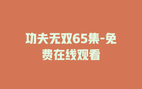 功夫无双65集-免费在线观看