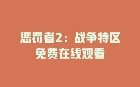 惩罚者2：战争特区免费在线观看