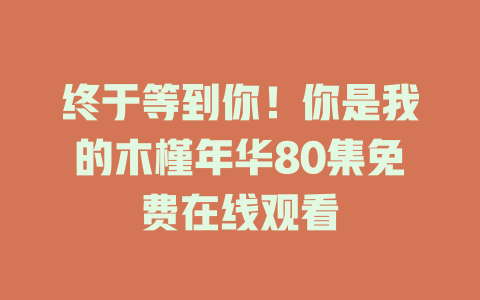 终于等到你！你是我的木槿年华80集免费在线观看