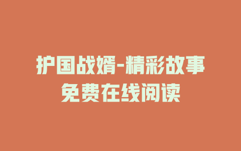 护国战婿-精彩故事免费在线阅读