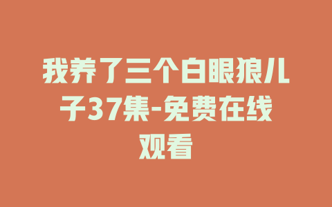 我养了三个白眼狼儿子37集-免费在线观看