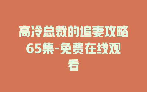 高冷总裁的追妻攻略65集-免费在线观看