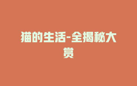 猫的生活-全揭秘大赏