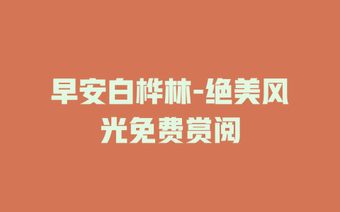 早安白桦林-绝美风光免费赏阅