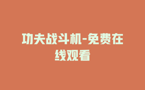 功夫战斗机-免费在线观看