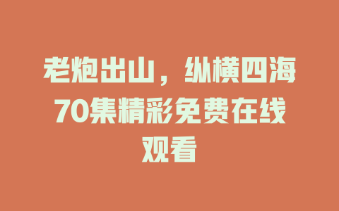 老炮出山，纵横四海70集精彩免费在线观看