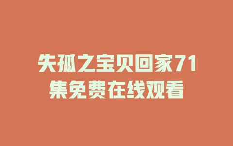 失孤之宝贝回家71集免费在线观看